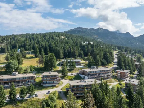 V du Bachat Melezes E