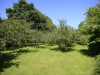 Villa 100 meters from the Atlantic
