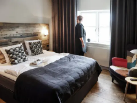 Haraldskær Sinatur Hotel & Konference โรงแรมในไวเล