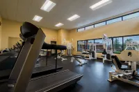 Holiday Inn STEAMBOAT SPRINGS by IHG - Gym