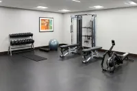 Holiday Inn & Suites PHILADELPHIA W - DREXEL HILL by IHG - Gym