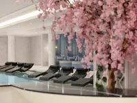 Fairmont Windsor Park - 5-Star