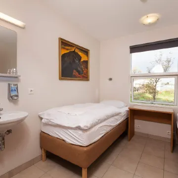 Guesthouse Eldhestar