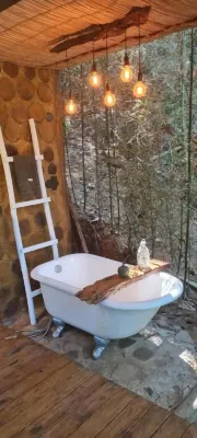 Tree House - Homestays
