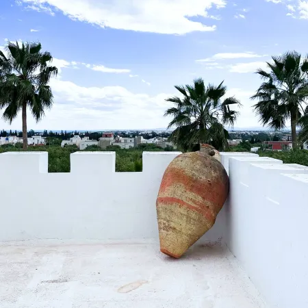 Villa Oasis Hammamet