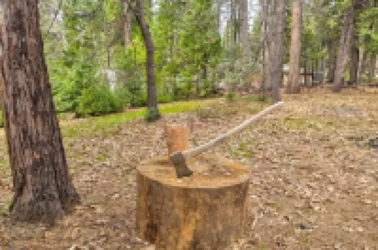 Cozy 4 bedroom Cabin with Hot Tub and BLS & Sequoia Woods access