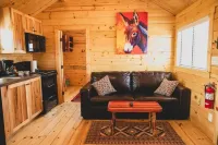 Amarillo by Morning - Homestays