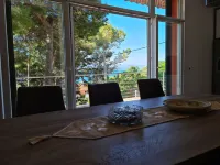 House Pine Tree - Homestays