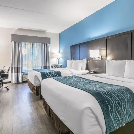 Comfort Inn University