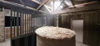 老橡樹莊園