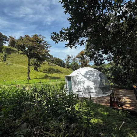 Epifita, Bosque Nuboso Glamping Monteverde