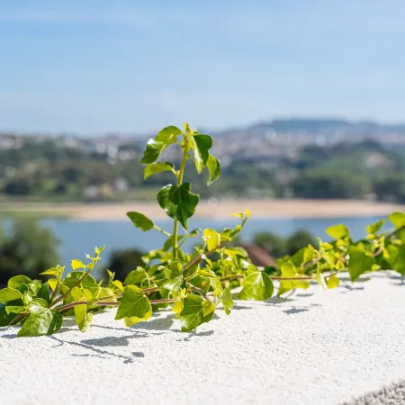 GuestReady - Freixo Island - Douro Views