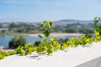 GuestReady - Freixo Island - Douro Views