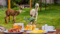 Hotel Hacienda del Valle Sagrado - breakfast