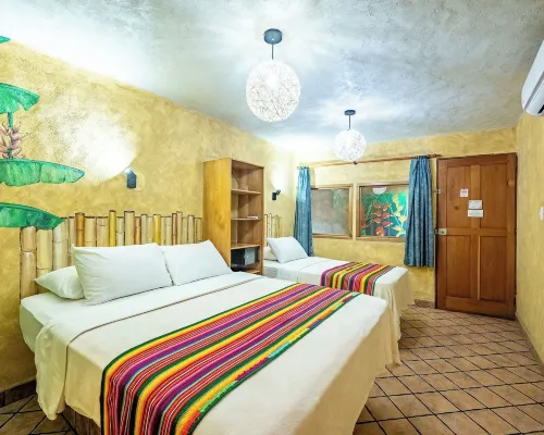 El Sano Banano Beachside Hotel Hotels in Montezuma