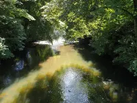 Leat Cottage in Cornwall Hotels in Lifton