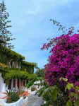 Villaggio la Pizzuta Hotels in 