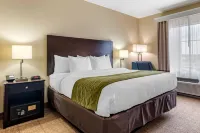 Comfort Inn & Suites Scott-West Lafayette - WiFi