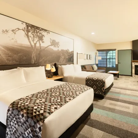 Mountain Modern Sedona, Tapestry Collection by Hilton