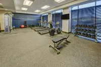 Hampton Inn & Suites Franklin Berry Farms - Gym