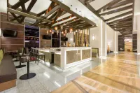 Hilton Garden Inn San Jose la Sabana - bar