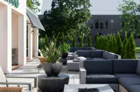 Elwood Hotel & Suites - Pet friendly