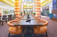 鳳凰城-埃文代爾希爾頓花園酒店 - Wi-Fi