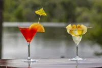 Azambezi River Lodge - bar