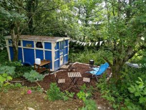 Pilgrims Shepherd's Hut - Goosewell Glynn Glamping