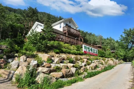 Jeongseon into the Nature Pension