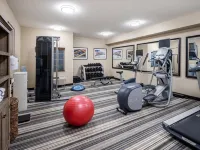 Candlewood Suites 溫莎鎖布拉德利ARPT 溫莎洛克斯住宿飯店