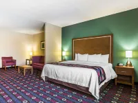 Comfort Inn & Suites Newcastle - Oklahoma City Hotels in McClain County