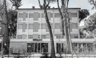 Hotel Millepini