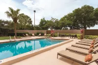 Embassy Suites by Hilton Orlando International Drive ICON Park - Pool