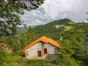 弗利亞山度假村