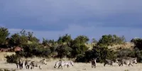 Otterskloof Private Game Reserve - Parkplatz