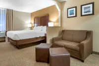 Comfort Inn - Kuntosalit