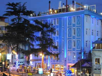 Blue House Hotel Old City - Sultanahmet Hotels near جامع السلطان أحمد