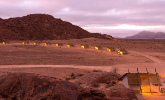 Desert Quiver Camp