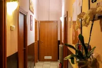 Român Holidays - Hostels