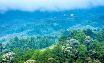 Huangshan Castle Youth Hostel