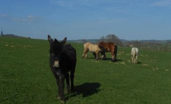 La Ferme des 3 Suissesses