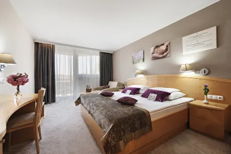 Hotel Ajda - Terme 3000 - Sava Hotels & Resorts Отели в г. Moravske-Toplice