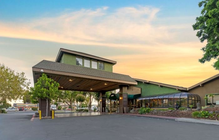 Best Western Plus Forest Park Inn