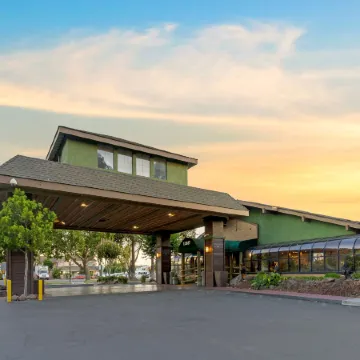 Best Western Plus Forest Park Inn