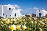 Vino Houses