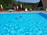 "Zekine" - 200m from the Sea - Swimmingpools