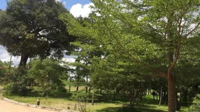 Kaswanga Farm Holiday Home Hotels in 