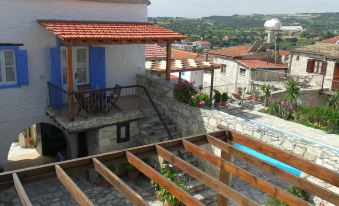 Traditional Village Houses