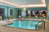 SpringHill Suites Chicago Lincolnshire Отели в г. Буффало Гров